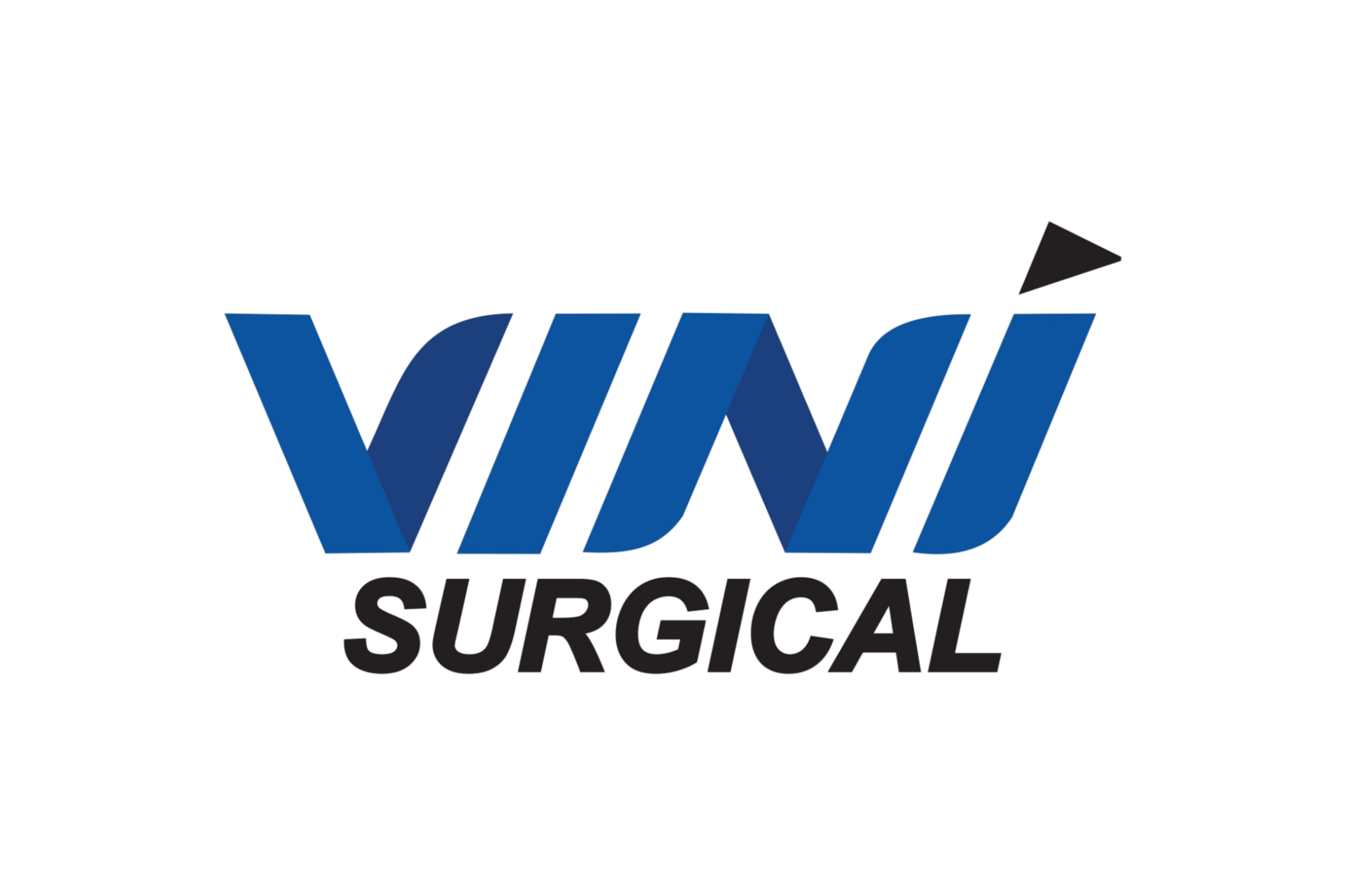 VINI Surgical